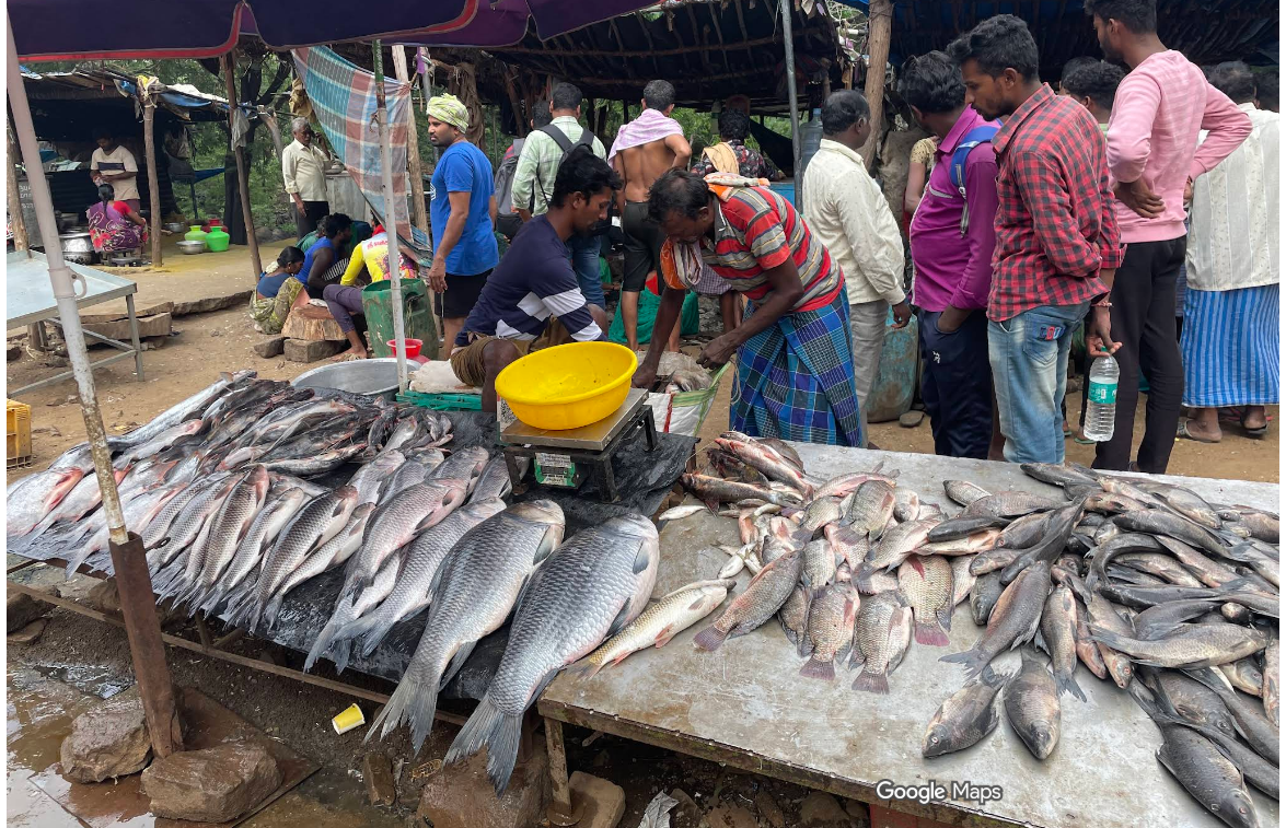 Fresh Fish Market